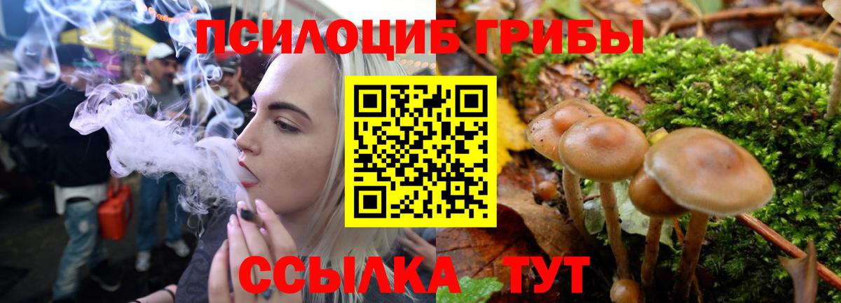 Галлюциногенные грибы мицелий  Вход с VPN  Знаменск 